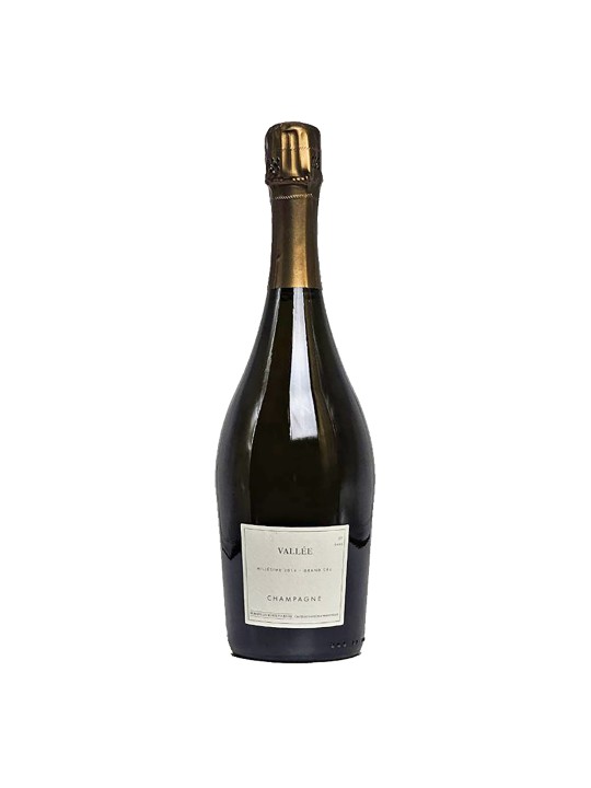CHAMPAGNE AY GRAND CRU MILLÉSIME EXTRA BRUT BLANC DE NOIRS "VALLÉE" 2014 - DOMAINE LES MONTS FOURNOIS