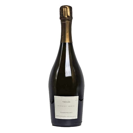 CHAMPAGNE AY GRAND CRU MILLÉSIME EXTRA BRUT BLANC DE NOIRS "VALLÉE" 2014 - DOMAINE LES MONTS FOURNOIS