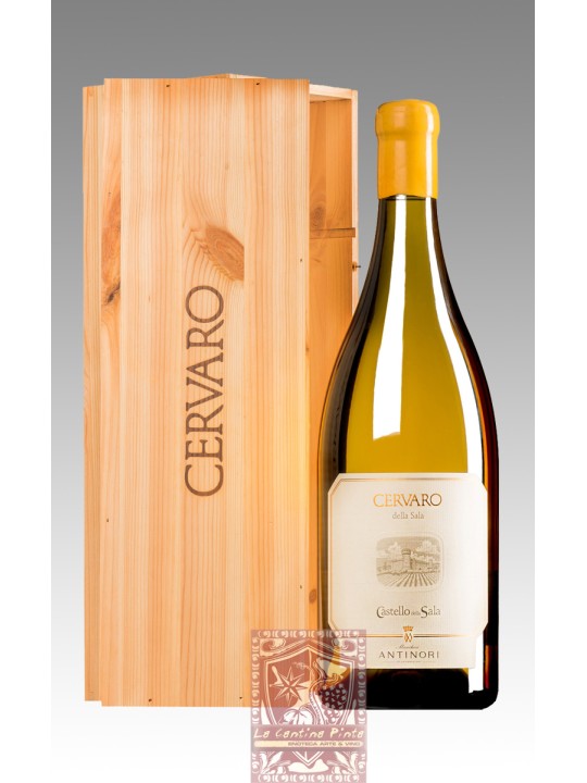 CERVARO DELLA SALA 2023 MAGNUM 1,5 LT. - CASTELLO DELLA SALA  ANTINORI