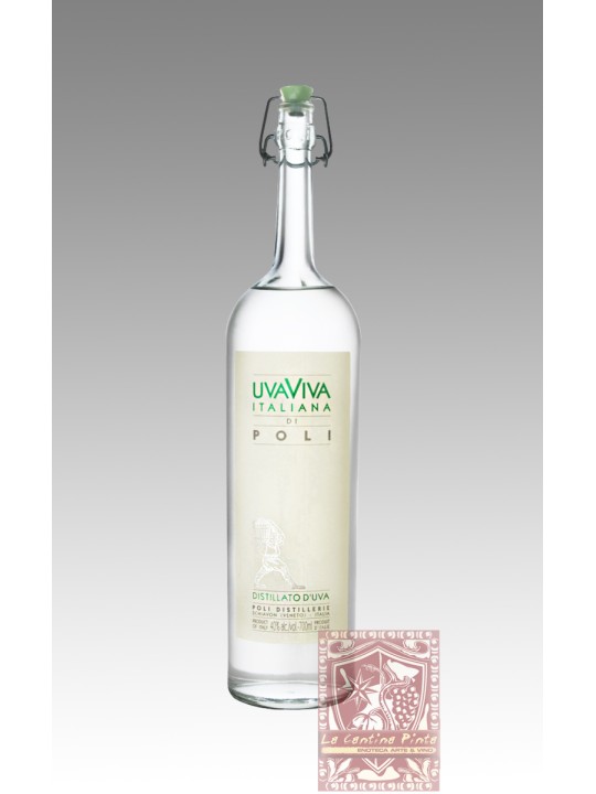 UVAVIVA ITALIANA DI POLI