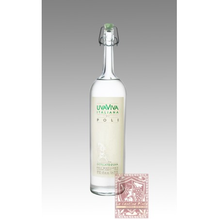 UVAVIVA ITALIANA DI POLI