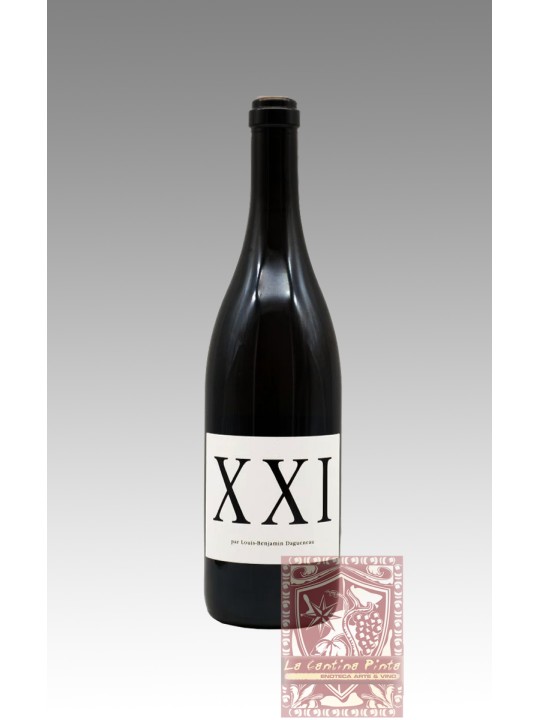 XXI 2021 VIN BLANC DOMAINE DIDIER DAGUENEAU