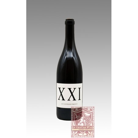 XXI 2021 VIN BLANC DOMAINE DIDIER DAGUENEAU
