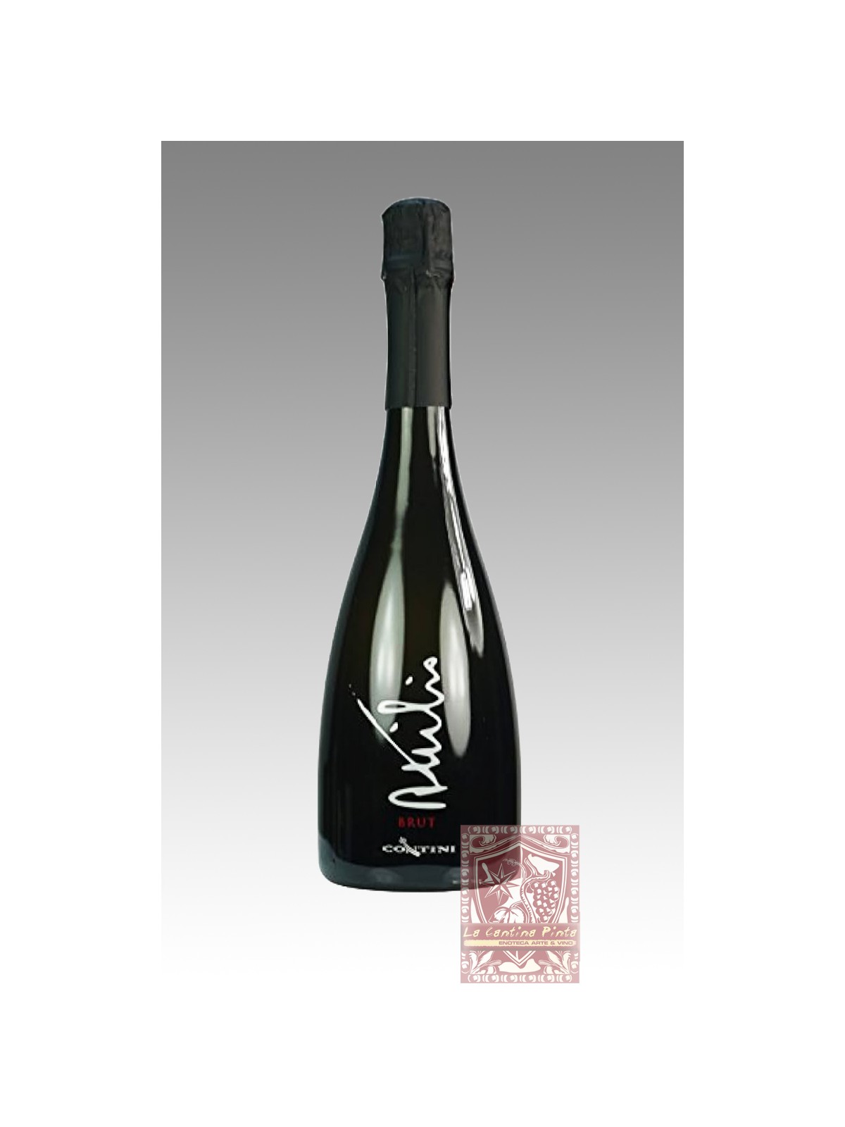 ATTILIO VINO SPUMANTE BRUT -  CONTINI