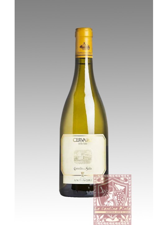 CERVARO DELLA SALA 2023 - CASTELLO DELLA SALA ANTINORI