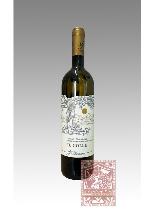 IL COLLE 2023 COSTA D'AMALFI BIANCO - TRAMONTI / IDA GIORDANO