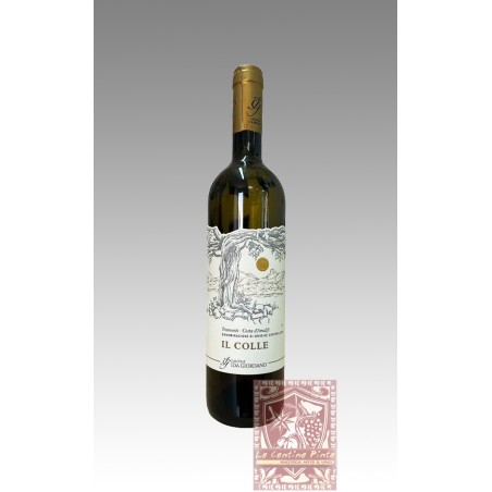 IL COLLE 2023 COSTA D'AMALFI BIANCO - TRAMONTI / IDA GIORDANO