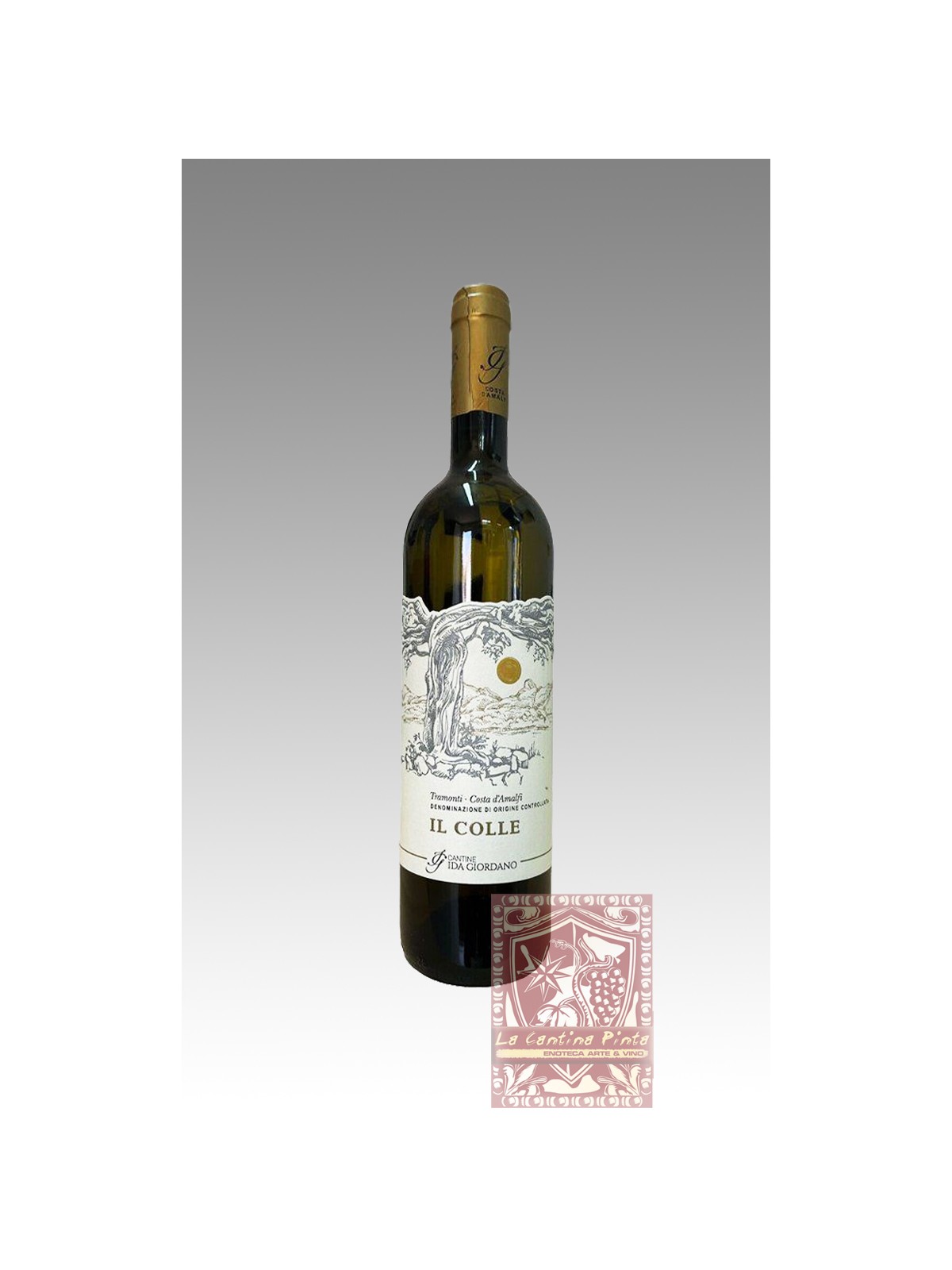 IL COLLE 2023 COSTA D'AMALFI BIANCO - TRAMONTI / IDA GIORDANO