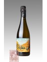 ROMAIN HENIN LA BULLE LIBRE L'ODYSSEE PETILLANTE CHAPITRE I BRUT NATURE CHAMPAGNE