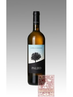 PALEO BIANCO 2022 - LE MACCHIOLE