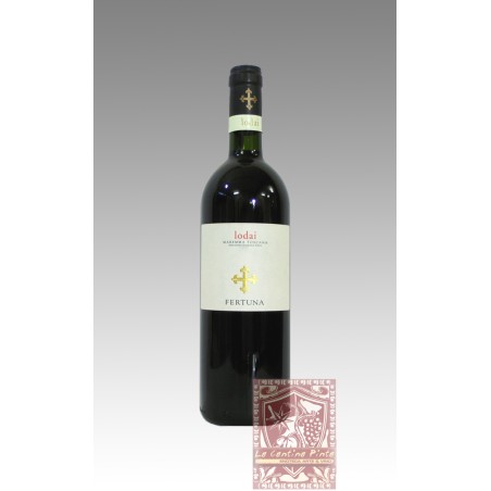 LODAI 2008 FERTUNA