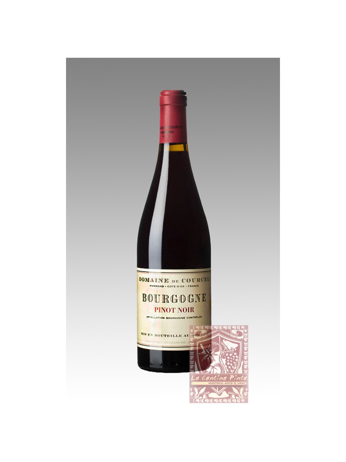BOURGOGNE PINOT NOIR 2019 - DOMAINE DE COURCEL