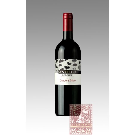 ANTILLO BOLGHERI ROSSO 2022  - GUADO AL MELO