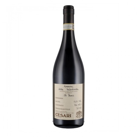 AMARONE DELLA VALPOLICELLA IL BOSCO 2013 - GERARDO  CESARI