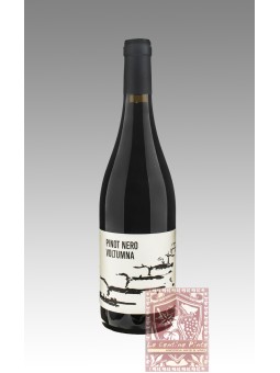 PINOT NERO 2015 - VOLTUMNA