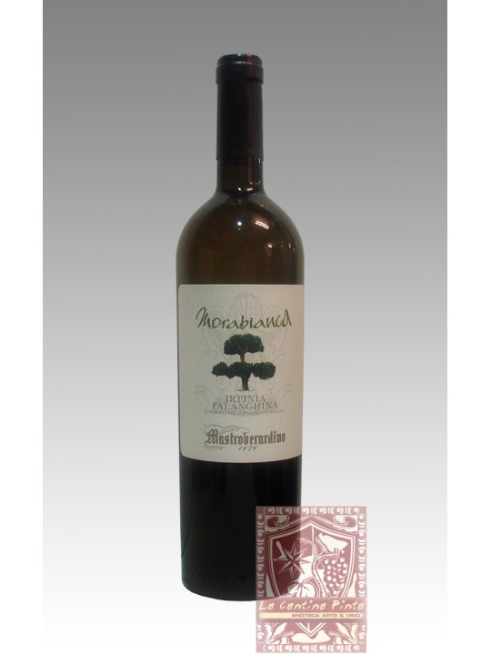 MORABIANCA IRPINIA  FALANGHINA 2022 - MASTROBERARDINO