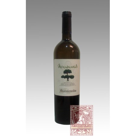 MORABIANCA IRPINIA  FALANGHINA 2022 - MASTROBERARDINO