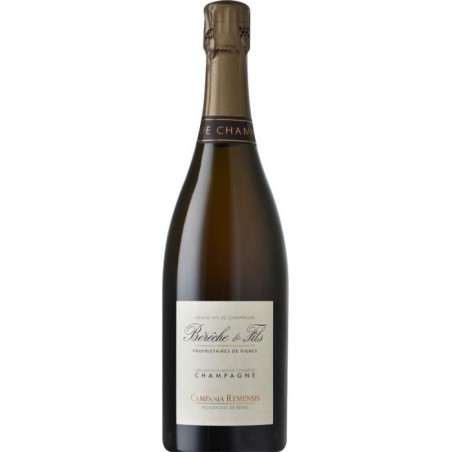 CHAMPAGNE EXTRA BRUT MILLESIME' CAMPANIA REMENSIS 2019 -  BERECHE ET FILS