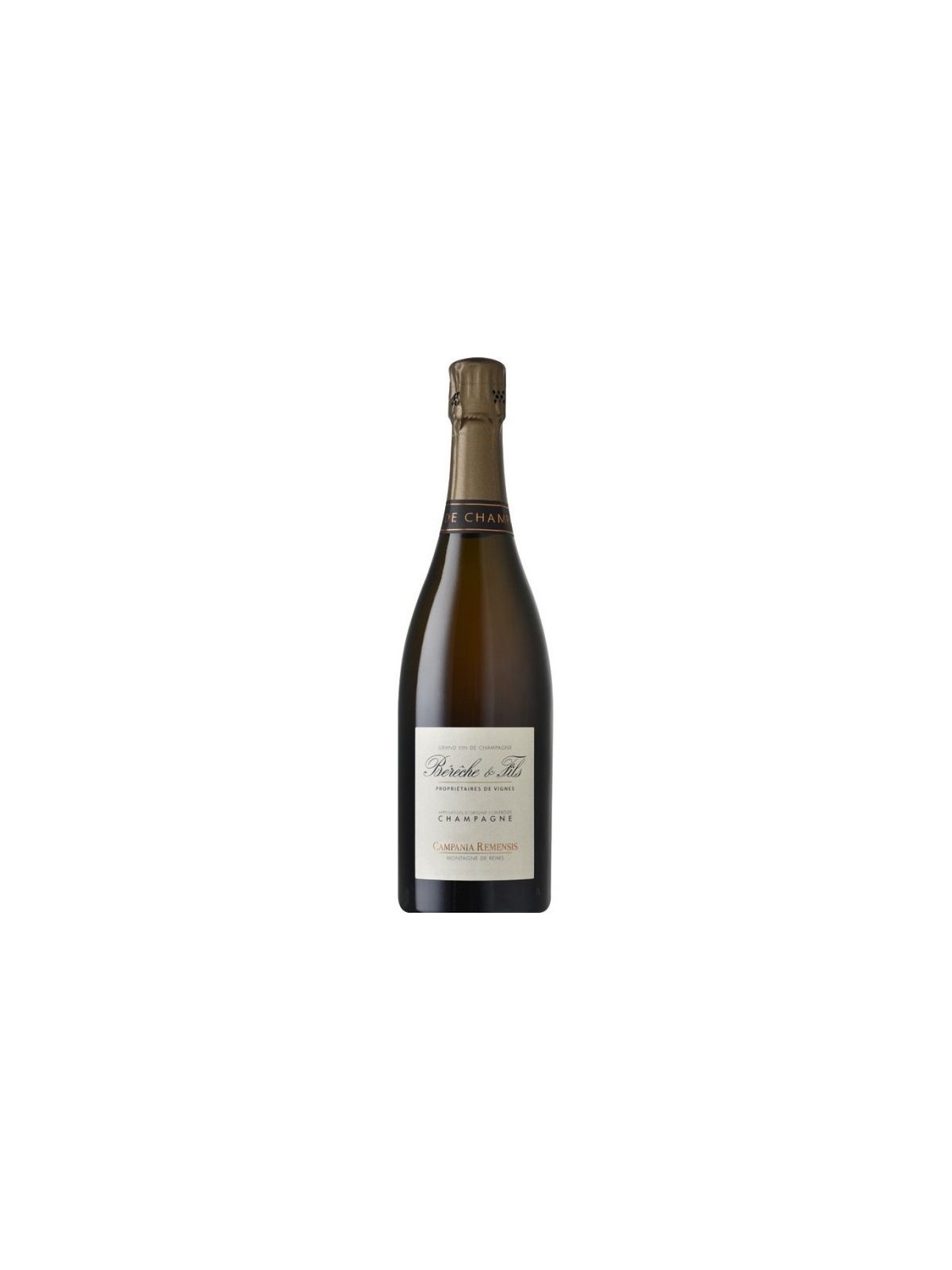 CHAMPAGNE EXTRA BRUT MILLESIME' CAMPANIA REMENSIS 2019 -  BERECHE ET FILS