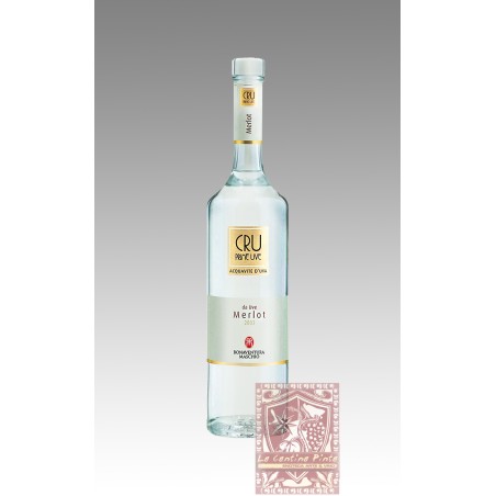 PRIME UVE CRU MERLOT ACQUAVITE DI UVA