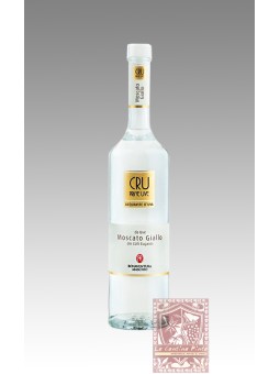 PRIME UVE CRU MOSCATO GIALLO ACQUAVITE DI UVA BONAVENTURA MASCHIO