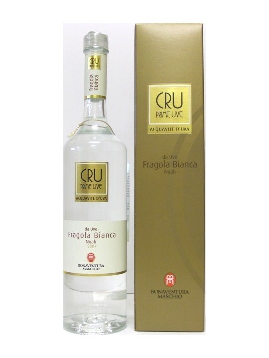 PRIME UVE CRU UVA FRAGOLA BIANCA NOAH ACQUAVITE DI UVA
