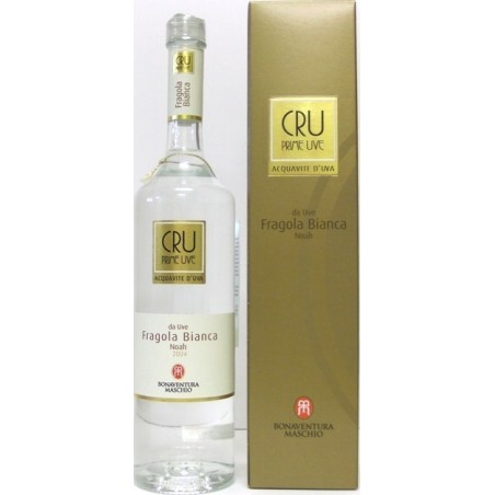 PRIME UVE CRU UVA FRAGOLA BIANCA NOAH ACQUAVITE DI UVA
