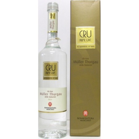 PRIME UVE CRU MULLER THURGAU ACQUAVITE DI UVA