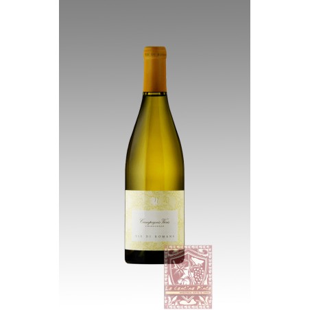 CHARDONNAY CIAMPAGNIS VIERIS 2019 - VIE DI ROMANS