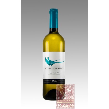 ALTENI DI BRASSICA SAUVIGNON 2013 - GAJA