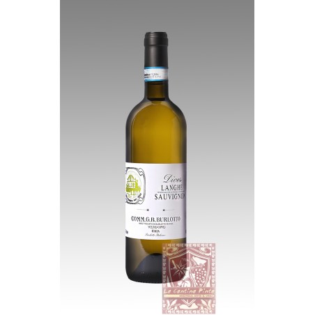 DIVES 2022 LANGHE SAUVIGNON BLANC - BURLOTTO