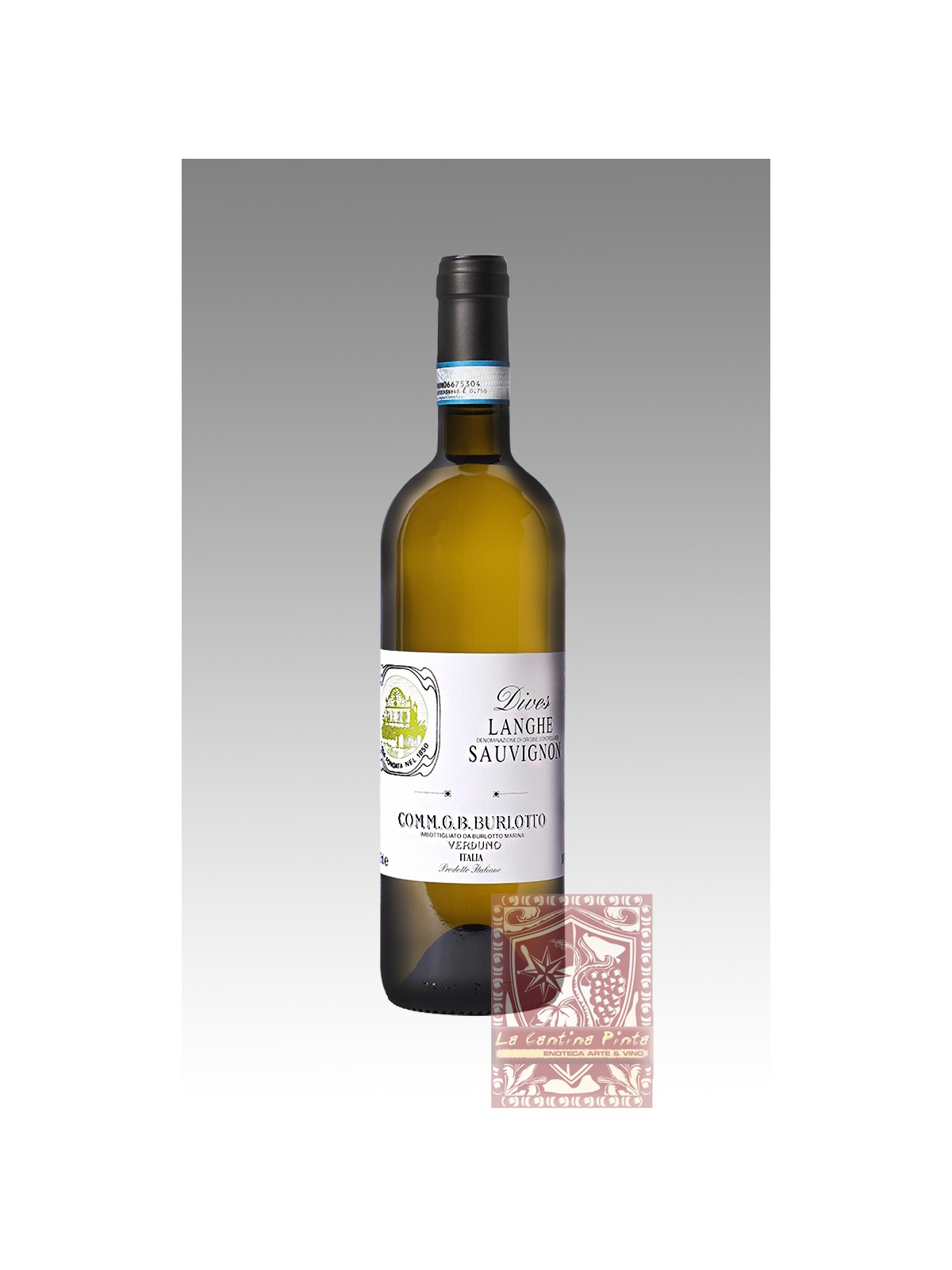 DIVES 2022 LANGHE SAUVIGNON BLANC - BURLOTTO