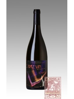 REGARD DU LOIRE PINEAU D'AUNIS 2021  L'ANGE VINS  - JEAN-PIERRE ROBINOT