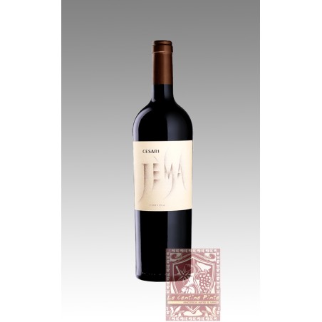 JEMA CORVINA VERONESE 2011 - CESARI