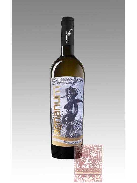  SABBIA VULCANICA 2022 FALANGHINA IGT  - AGNANUM