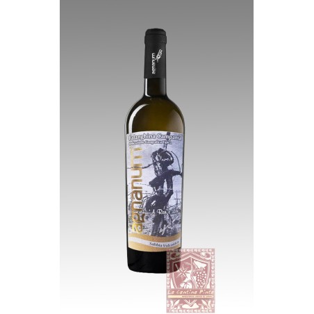  SABBIA VULCANICA 2022 FALANGHINA IGT  - AGNANUM
