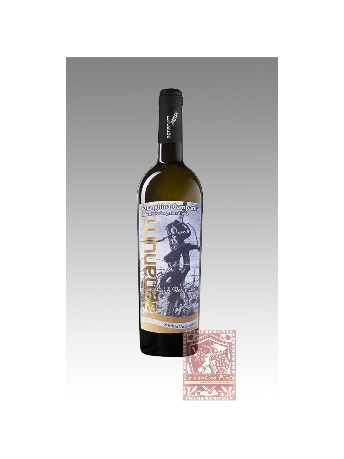  SABBIA VULCANICA 2022 FALANGHINA IGT  - AGNANUM