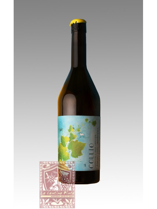 MARTISSIMA COLLIO BIANCO DOC 2021 - MARTA VENICA