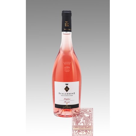 SCALABRONE 2023 BOLGHERI ROSATO - TENUTA GUADO AL TASSO