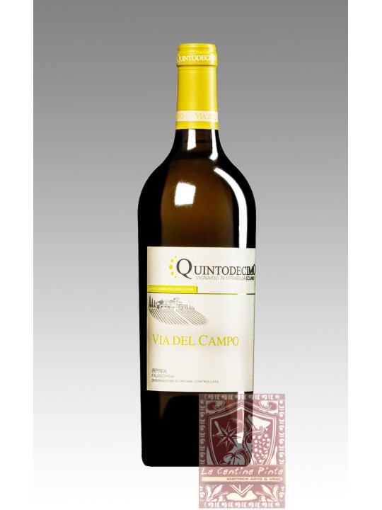 VIA DEL CAMPO IRPINIA FALANGHINA 2022 - QUINTODECIMO