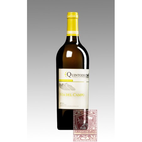 VIA DEL CAMPO IRPINIA FALANGHINA 2022 - QUINTODECIMO