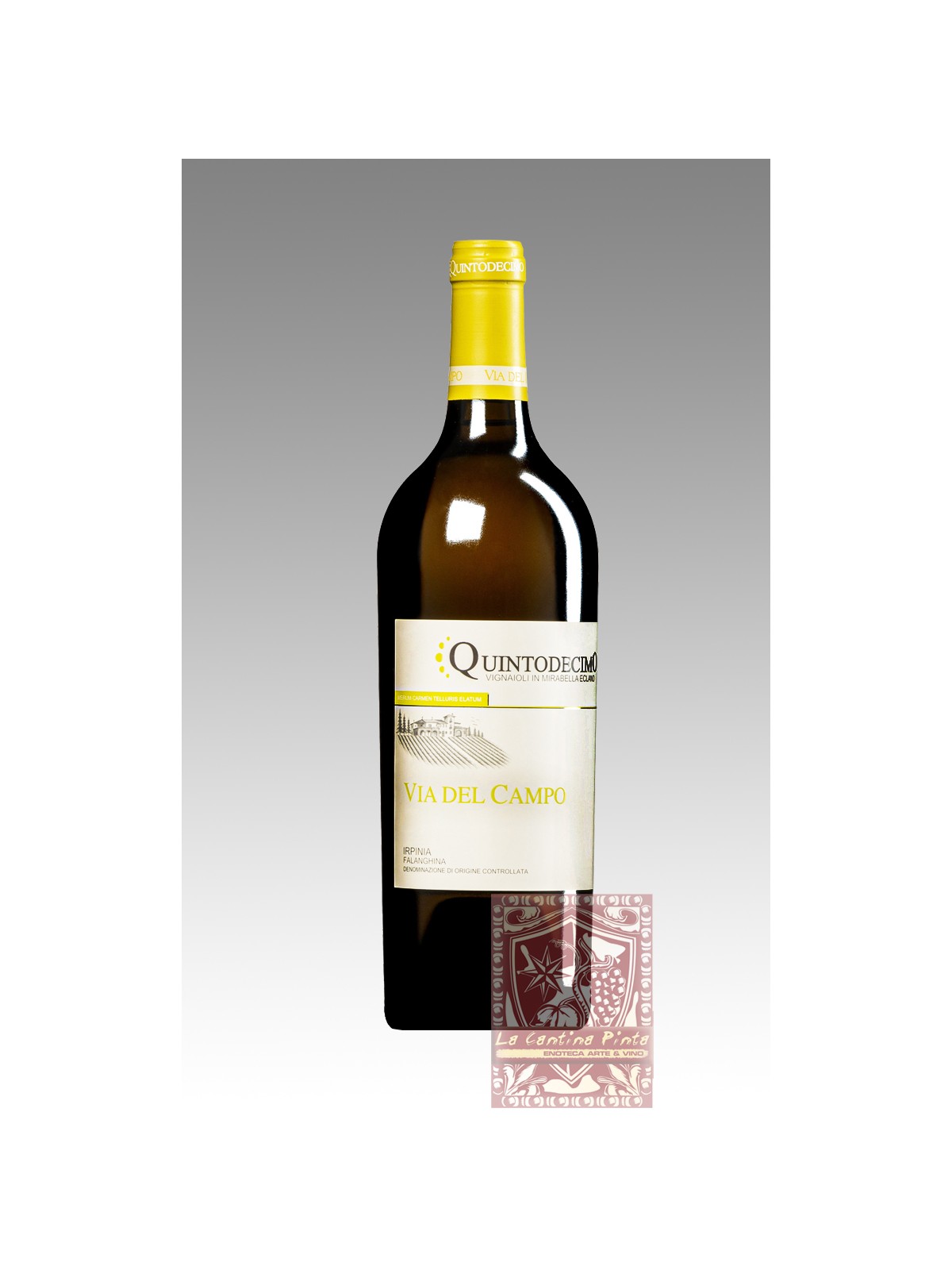 VIA DEL CAMPO IRPINIA FALANGHINA 2022 - QUINTODECIMO