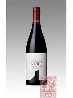 PINOT NERO 2019 - CANTINA COLTERENZIO