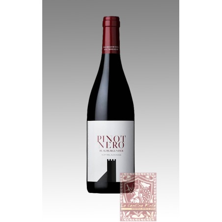 PINOT NERO 2019 - CANTINA COLTERENZIO