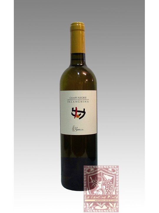 FALANGHINA CAMPI FLEGREI  2022 - LA SIBILLA