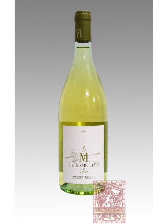 VIVIA 2024 - LE MORTELLE