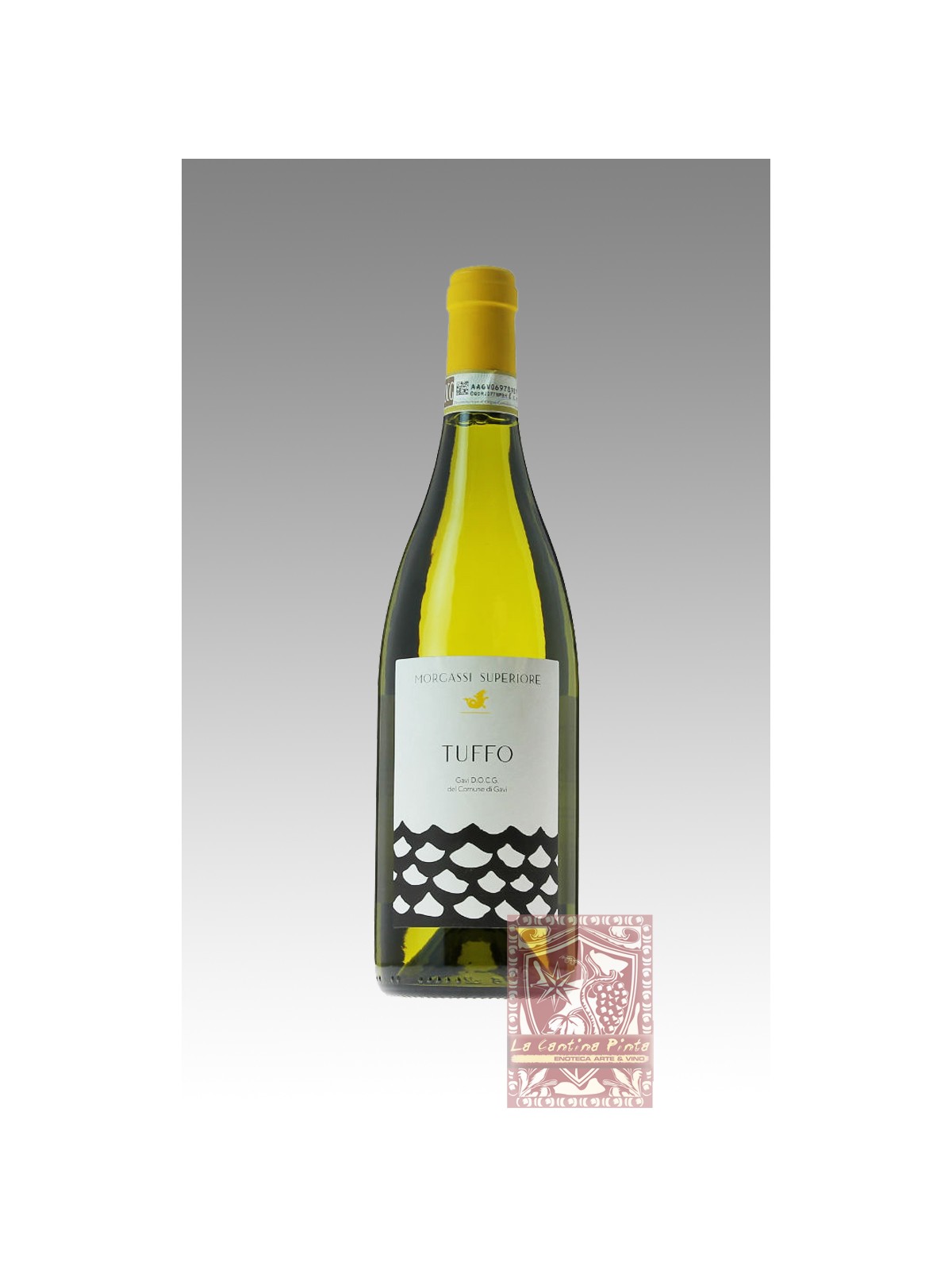 TUFFO 2015 GAVI DEL COMUNE DI GAVI - MORGASSI SUPERIORE