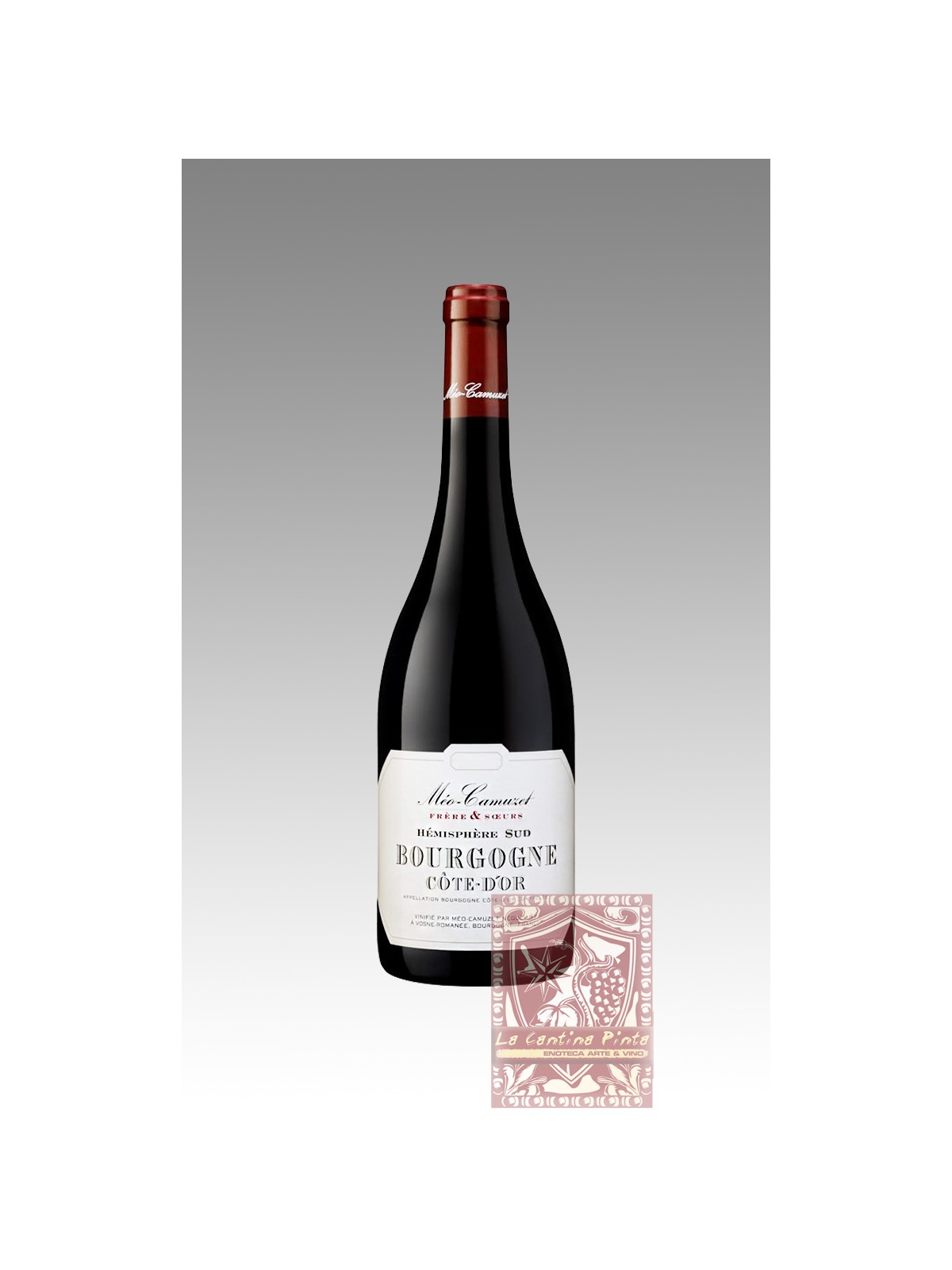 HEMISPHERE SUD  BOURGOGNE COTE D'OR 2021 MEO CAMUZET