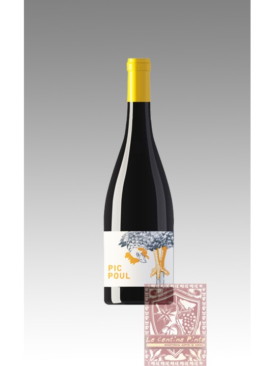  LES EQUILIBRISTES PICPOUL DE PINET 2019 - DOMAINE DE BRIDAU, MONTAGNAC
