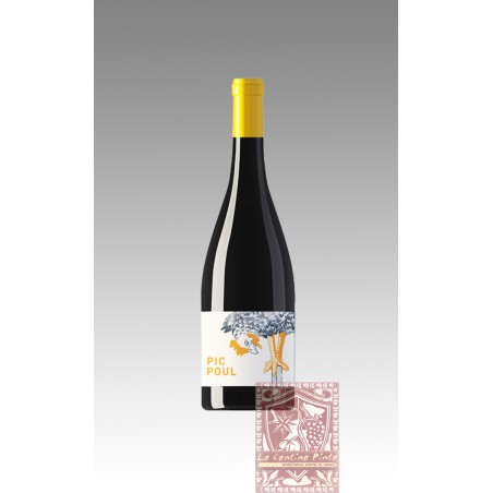  LES EQUILIBRISTES PICPOUL DE PINET 2019 - DOMAINE DE BRIDAU, MONTAGNAC